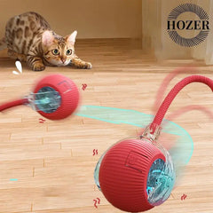 PetCareNest_-Cat-Interactive-Ball-chiccharm-248598384