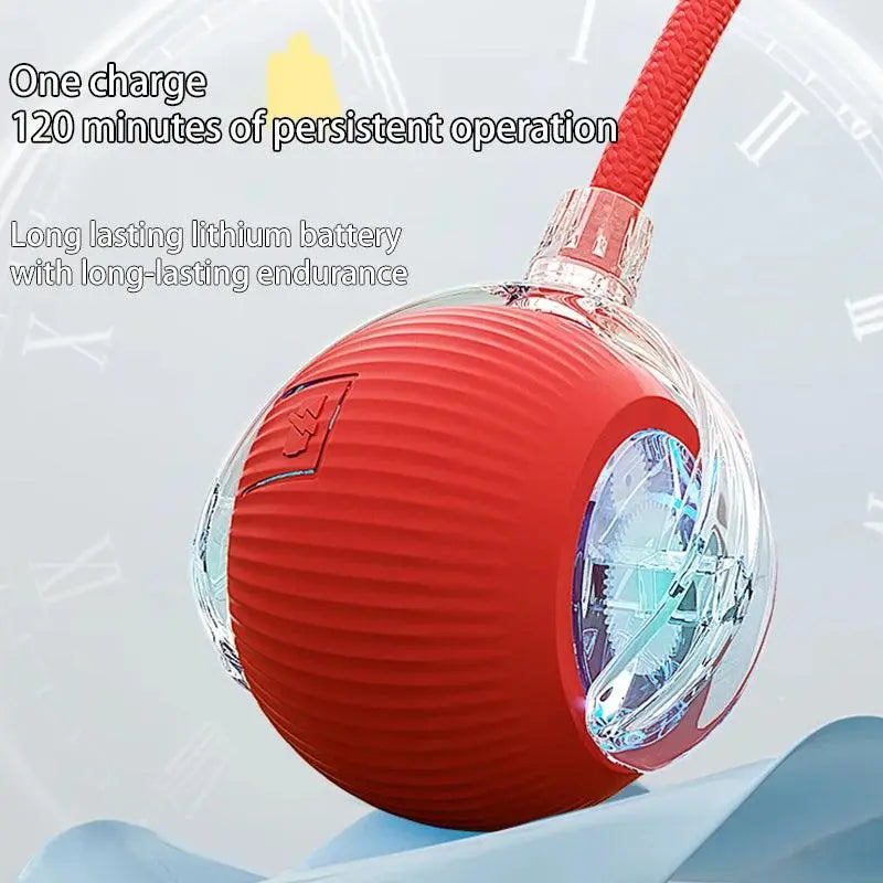 Cat Interactive Ball - chiccharm