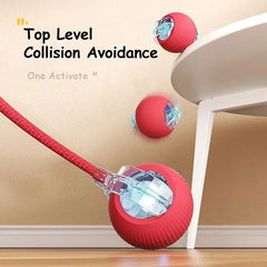 Cat Interactive Ball - chiccharm