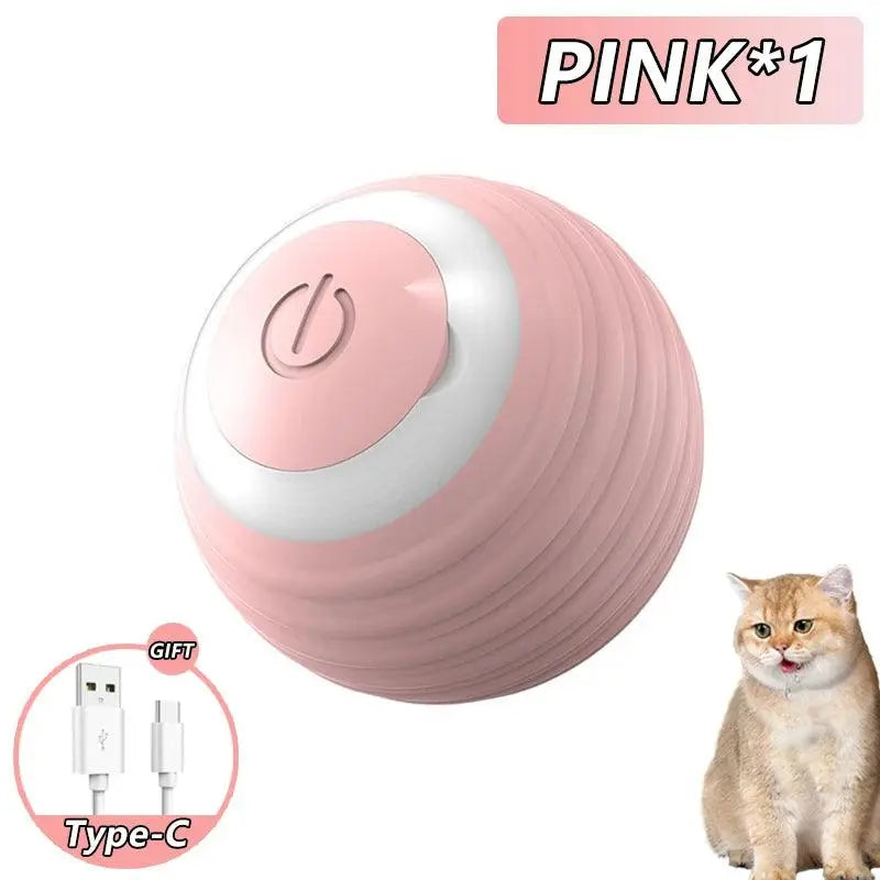 PetCareNest_-Cat-Interactive-Ball-chiccharm-248599431